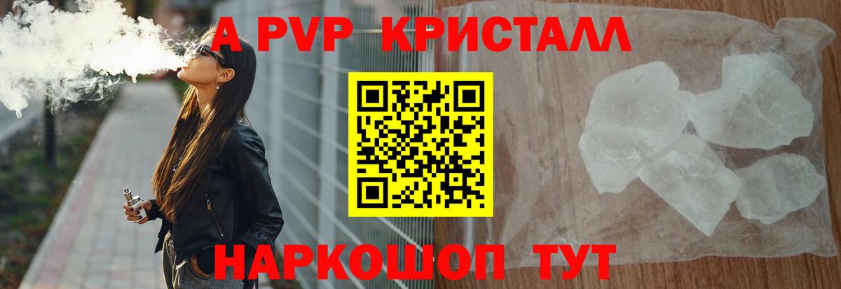 дарнет шоп  Альфа ПВП VHQ  Кимовск  Вход с VPN  А ПВП СК КРИС 