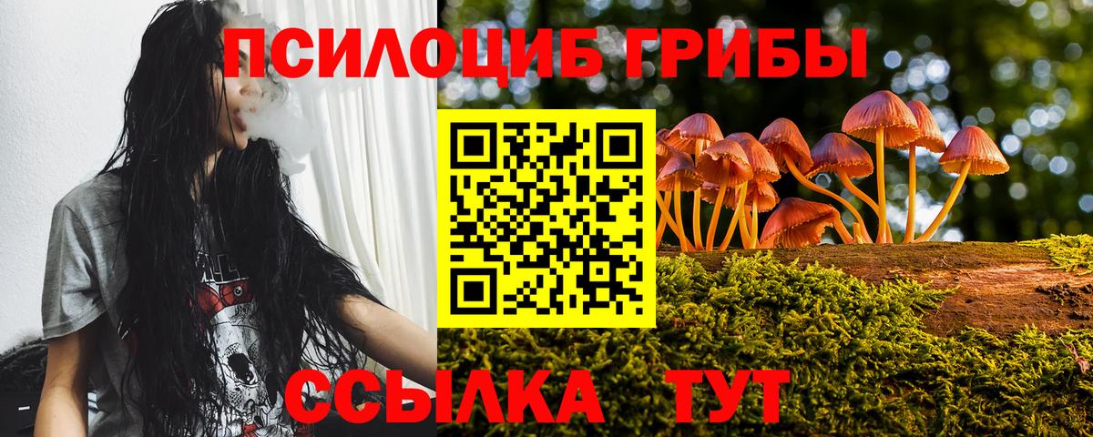 Кимовск  Галлюциногенные грибы Magic Shrooms  Псилоцибиновые грибы MAGIC MUSHROOMS  Вход с VPN 